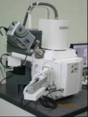 Field Emission Scanning Electron Microscope