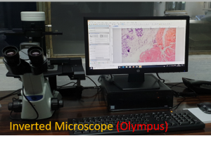 Inverted Microscope