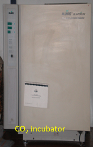 CO2 incubator 