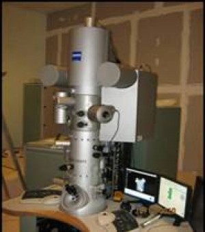 Transmission Electron Microscope